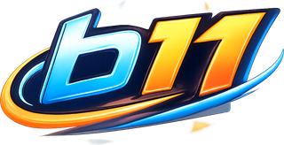 b11